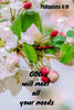 God will meet all your needs | Philippians 4:19: Notebook with a Floral Cover with Bible Verse to use as Notebook | Planner | Journal - 120 pages bl
