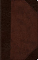 ESV Large Print Compact Bible (TruTone. Brown/Walnut. Portfolio Design)