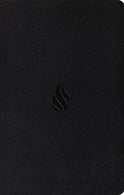 ESV Premium Gift Bible (TruTone. Midnight. Flame Design)