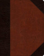 ESV Single Column Journaling Bible (TruTone. Brown/Cordovan. Portfolio Design)