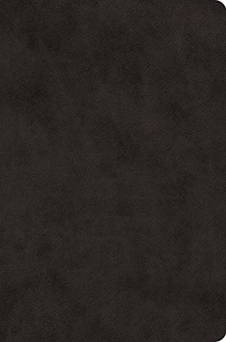ESV Value Compact Bible (TruTone. Black)