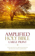 Amplified Holy Bible. Large Print. Hardcover: Captures the Full Meaning Behind the Original Greek and Hebrew