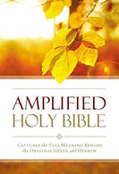 Amplified Outreach Bible. Paperback: Capture the Full Meaning Behind the Original Greek and Hebrew