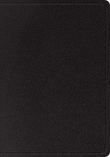 ESV Large Print Wide Margin Bible (Black)