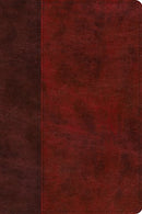ESV Gospel Transformation Study Bible: Christ in All of Scripture. Grace for All of Life (TruTone. Burgundy/Red. Timeless Design)