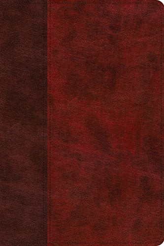 ESV Gospel Transformation Study Bible: Christ in All of Scripture. Grace for All of Life (TruTone. Burgundy/Red. Timeless Design)